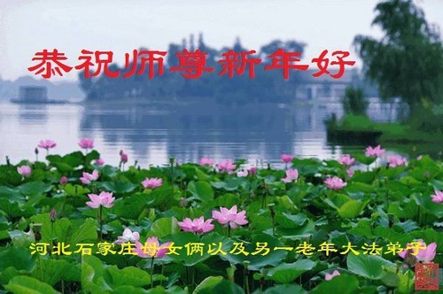 Image for article Практикующие Фалунь Дафа из города Шицзячжуан желают уважаемому Учителю счастливого китайского Нового года (21 поздравление)
