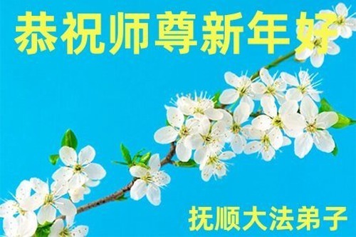 Image for article Практикующие Фалунь Дафа из провинции Ляонин желают уважаемому Учителю Ли Хунчжи счастливого Нового года (20 поздравлений)