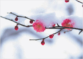 Image for article «Фалуньгун принёс мне внутренний покой, здоровье и счастье»