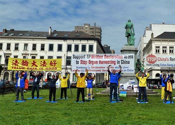 Image for article Двенадцать членов Европарламента выпустили декларацию, призывающую к расследованию насильственного извлечения органов в Китае.