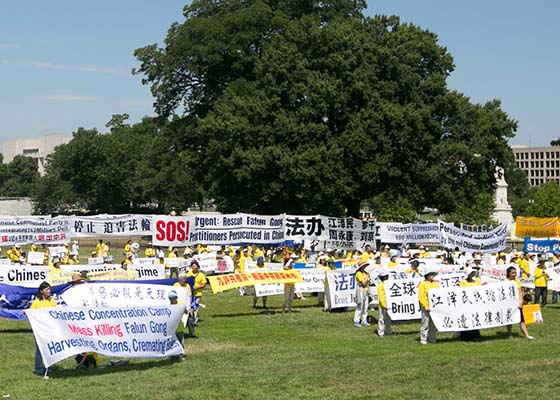 Image for article Большой митинг у Капитолия США призывает положить конец 17-летнему преследованию