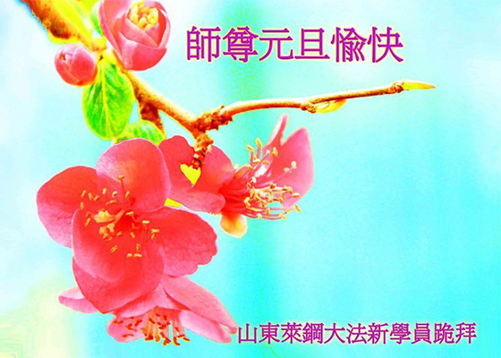 Image for article Новые практикующие из Китая: «Поздравляем уважаемого Учителя с Новым годом!»