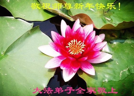 Image for article Практикующие Фалунь Дафа и их сторонники поздравляют уважаемого Учителя Ли с китайским Новым годом