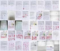 Image for article Более 1000 жителей  Саньхэ подписали петицию в поддержку судебных исков против Цзян Цзэминя