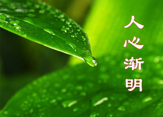 Image for article Истории о людях, которые с добротой относятся к практикующим Фалуньгун