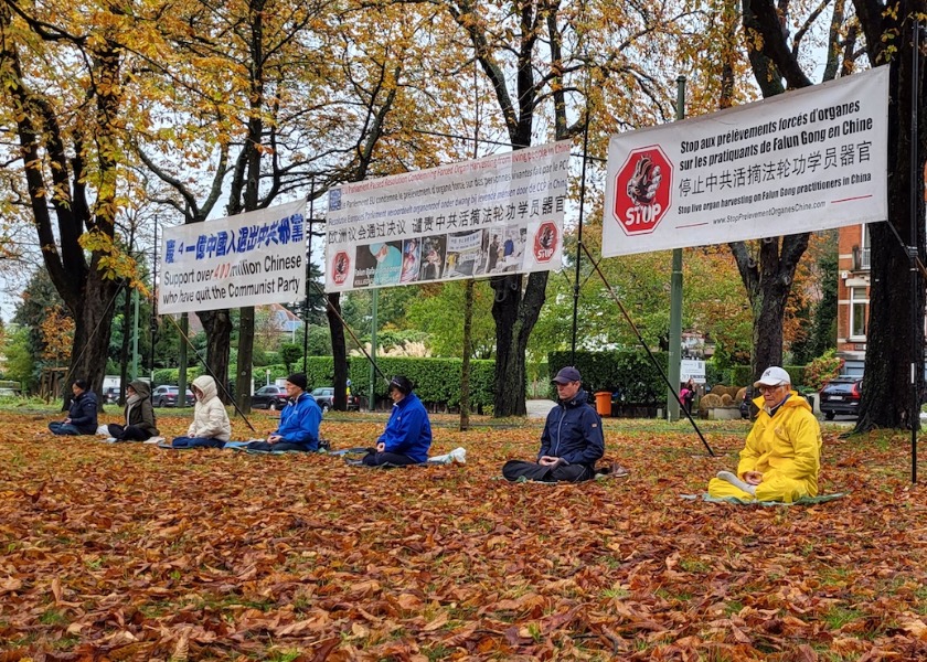 Image for article Бельгия. Мирный протест перед посольством Китая разоблачает преследование Фалунь Дафа