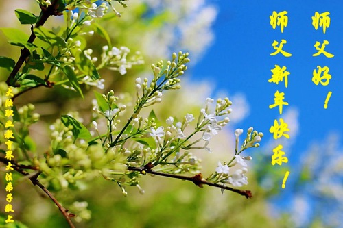 Image for article Практикующие Фалунь Дафа, работающие в системе образования Китая, желают уважаемому Учителю Ли Хунчжи счастливого Нового года