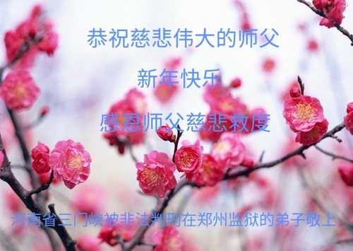 Image for article Цветы сливы, распускающиеся зимой, более прекрасны, подобно стойкой вере заключённых практикующих Фалунь Дафа