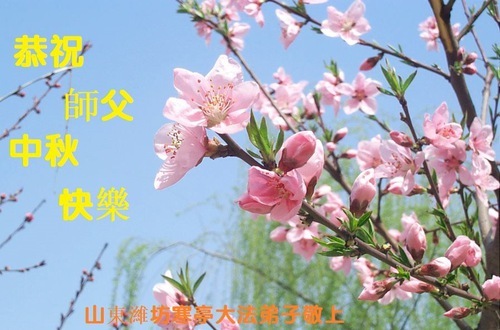 Image for article Практикующие Фалунь Дафа из городов Цзинань, Линьи и Вэйфан в провинции Шаньдун желают уважаемому Учителю Ли Хунчжи счастливого праздника Середины осени (128 поздравлений)
