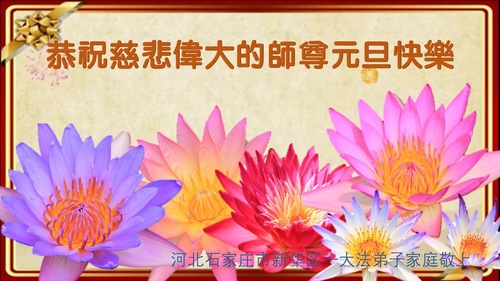 Image for article Практикующие Фалунь Дафа из города Шицзячжуана желают уважаемому Учителю счастливого Нового года (23 поздравления)