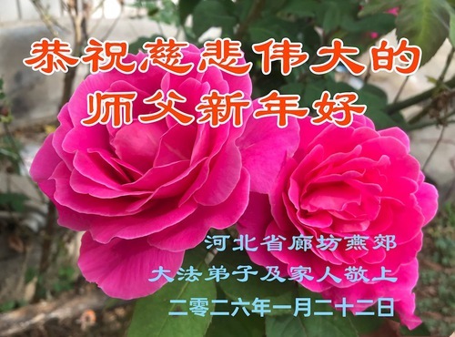 Image for article Практикующие Фалунь Дафа из провинции Хэбэй желают уважаемому Учителю счастливого Нового года (105 поздравлений)