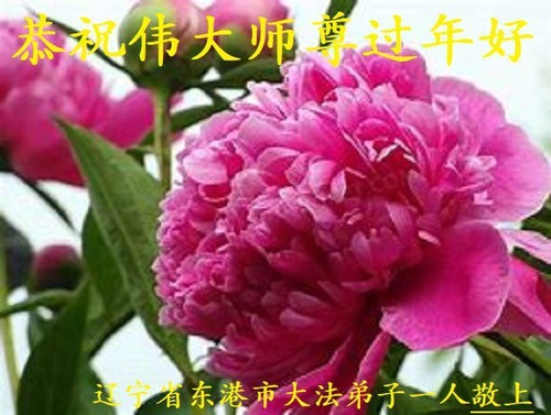 Image for article Практикующие Фалунь Дафа из провинции Ляонин желают уважаемому Учителю Ли Хунчжи счастливого китайского Нового года (19 поздравлений)