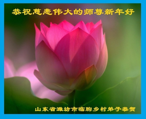 Image for article Практикующие Фалунь Дафа из сельской местности желают Учителю Ли Хунчжи  счастливого китайского Нового года (23 поздравления)