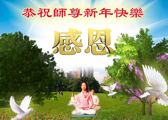 Image for article  Практикующие Фалунь Дафа, которые представляют более чем 40 профессий, желают уважаемому Учителю счастливого Нового года