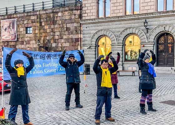 Image for article Швеция. Активистка движения в защиту прав человека и другие прохожие поддерживают Фалуньгун