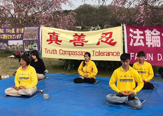 Image for article Япония. Фалуньгун представили в дни празднования фестиваля цветения сакуры