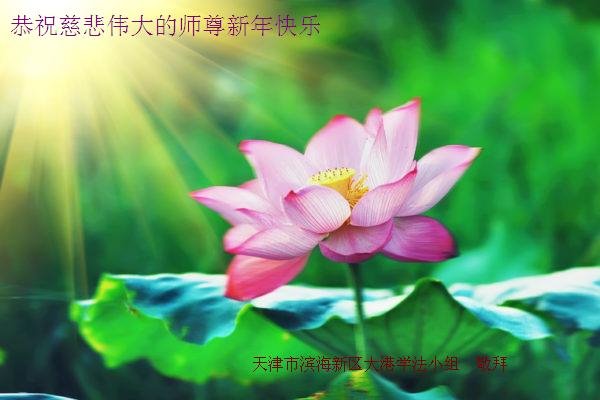 Image for article Практикующие Фалунь Дафа из 30 провинций в Китае поздравляют Учителя Ли с Новым годом!