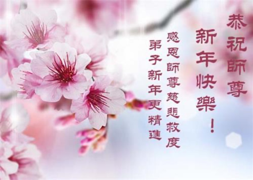 Image for article Голоса практикующих Фалунь Дафа из 60 стран: C Новым годом, Учитель Ли! (Видео)