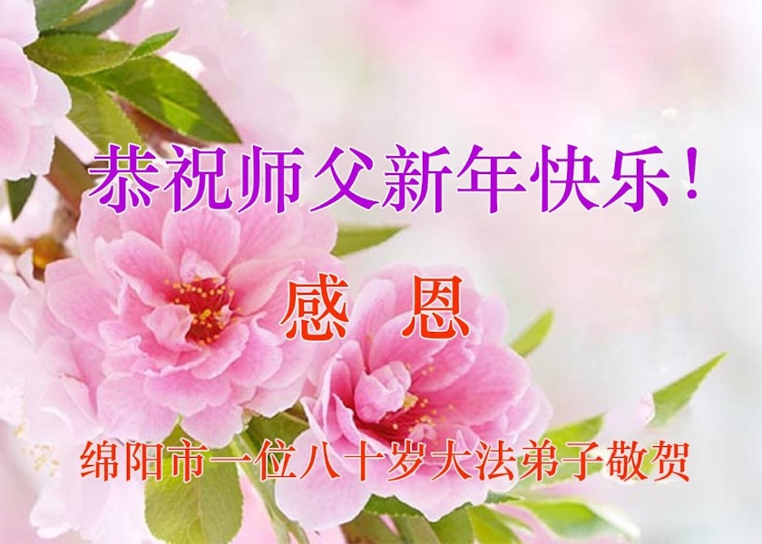 Image for article Сеять надежду. Практикующие Фалунь Дафа в Китае желают уважаемому Учителю Ли счастливого китайского Нового года