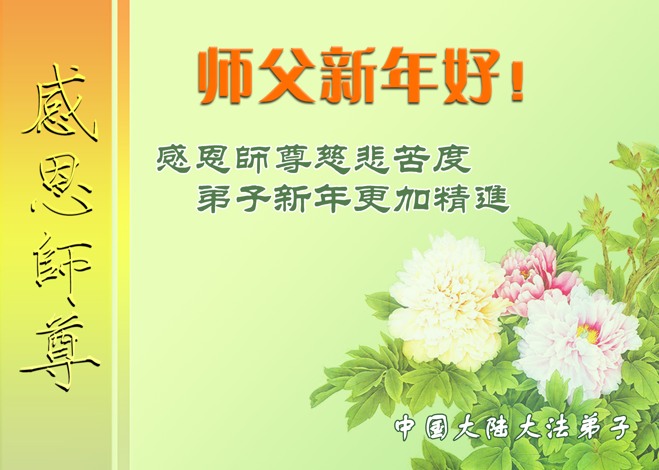 Image for article Практикующие Фалунь Дафа, представляющие более 50 профессий, желают Учителю Ли счастливого Нового года!