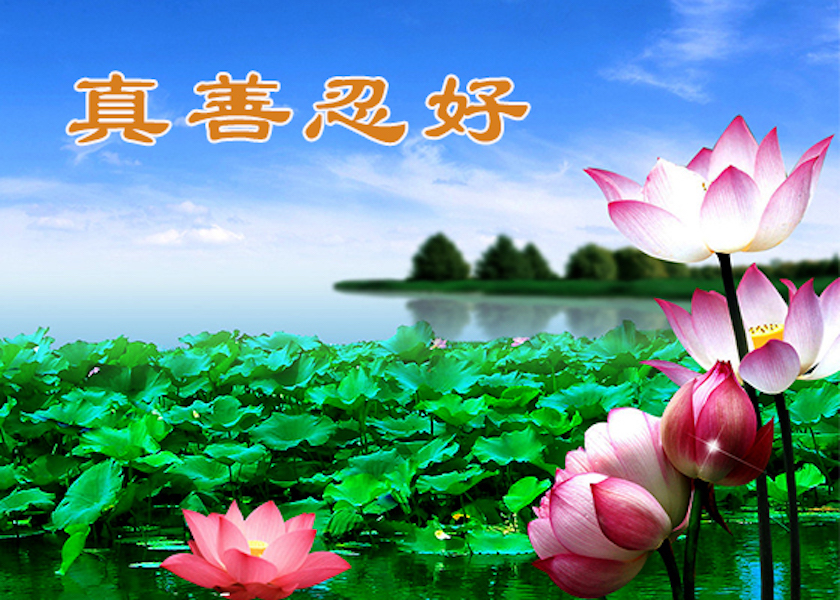 Image for article Тайвань. Читатели веб-сайта выражают благодарность за публикацию статей, посвящённых празднованию Дня Фалунь Дафа