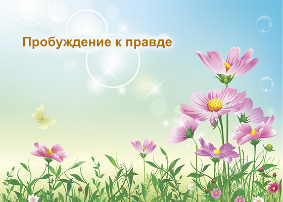 Image for article Правда о Дафа пробуждает совесть людей