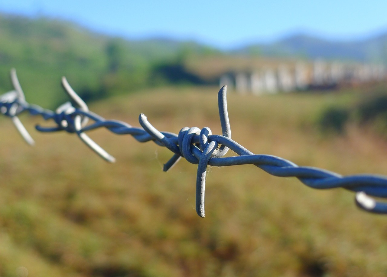 Image for article 81-летняя женщина, болеющая раком, заключена на 3,5 года в тюрьму за духовные убеждения