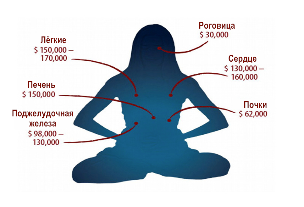 Image for article Отчёт Minghui. Практикующих Фалуньгун систематически убивают в Китае ради их органов