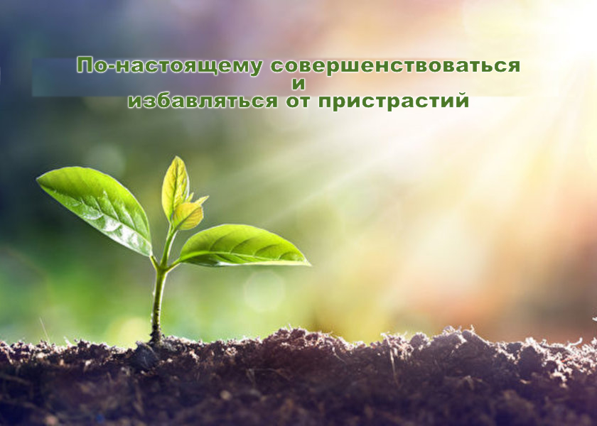 Image for article Избавиться от тяжёлой болезни в процессе изучения Фа, разъяснения правды и спасения людей