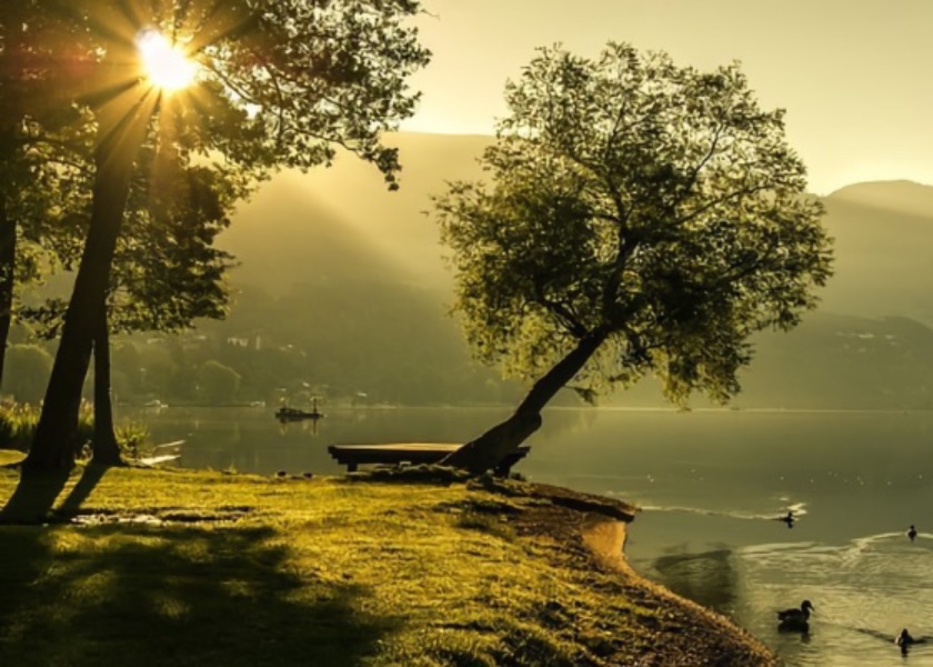 Image for article Как мой упрямый свёкор наконец вышел из рядов КПК