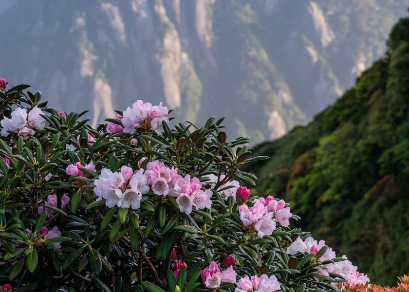 Image for article Статьи 22-й Конференции Фа практикующих Китая предоставляют практикующим в Индии возможность заглянуть в себя, осознать свои упущения и повыситься