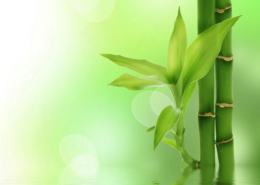 Image for article (Божественная культура) Добрые дела могут изменить судьбу человека. Принцип причины и следствия никогда не нарушается