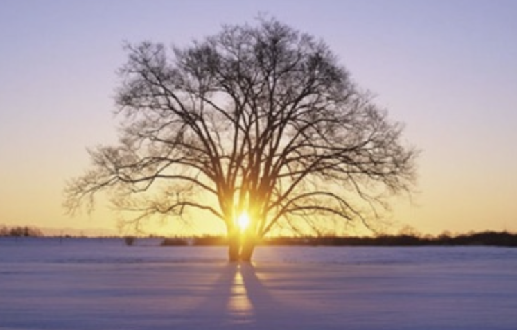 Image for article О моём многолетнем пути совершенствования