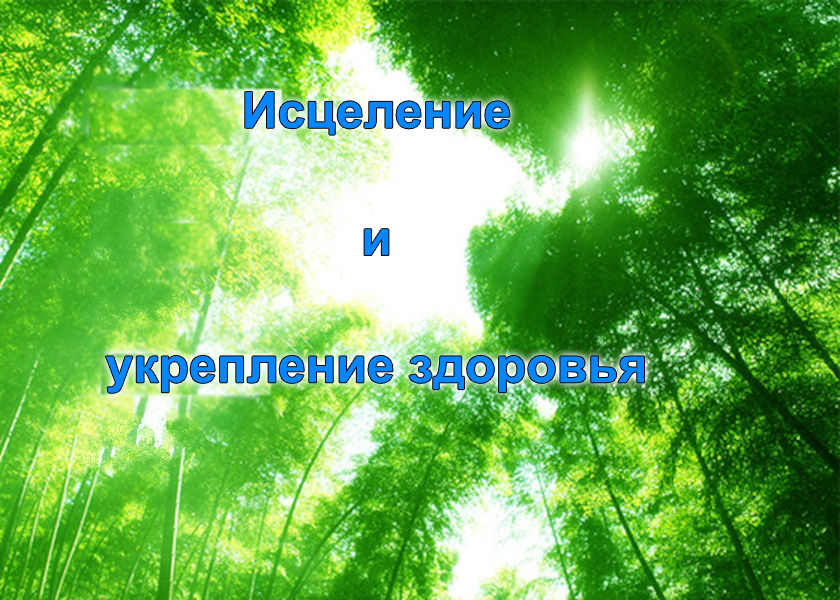 Image for article Муж обрёл новую жизнь после начала совершенствования по Дафа