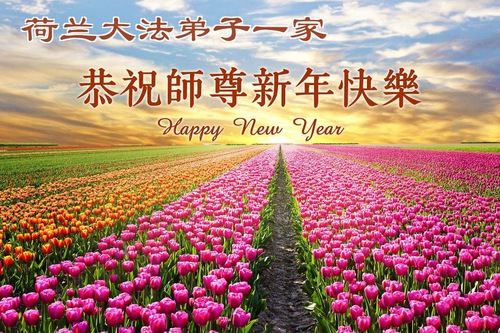 Image for article Практикующие Фалунь Дафа из шести стран Западной Европы поздравляют уважаемого Учителя Ли Хунчжи с Новым годом (видео)