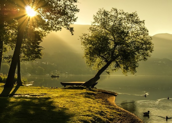 Image for article Расцвет и упадок образования в Китае