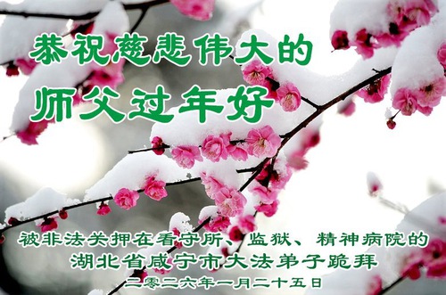 Image for article Практикующие Фалунь Дафа, содержащиеся под стражей в Китае за свою веру, поздравляют Учителя Ли с китайским Новым годом (59 поздравлений)