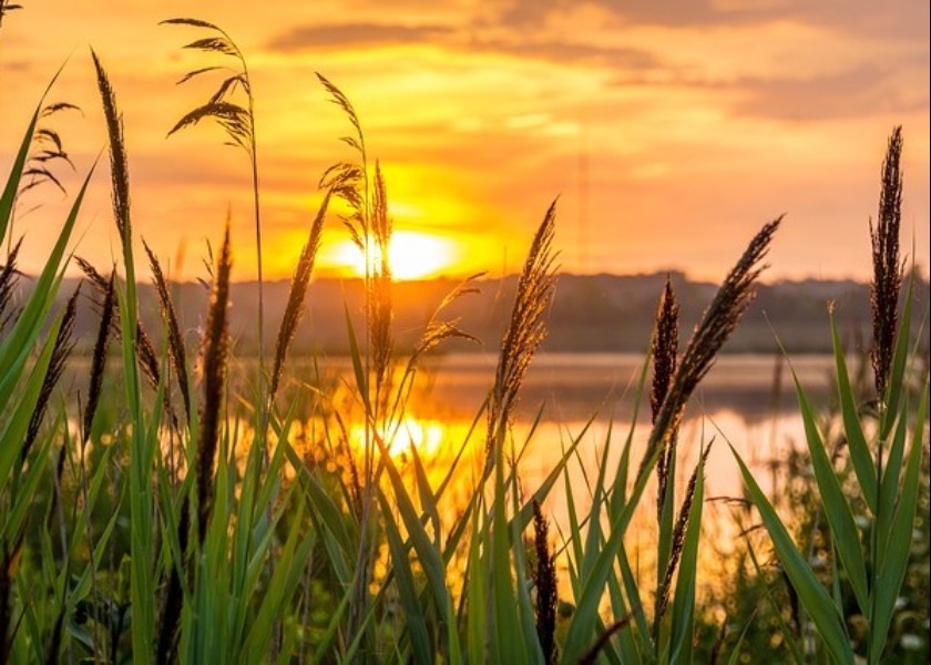 Image for article Совершенствовать своё сердце и сознание