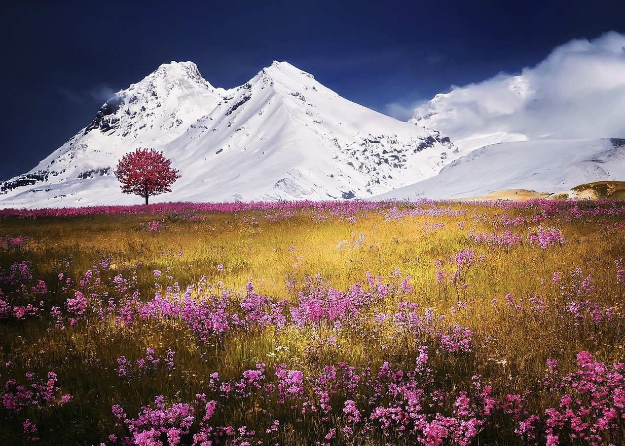 Image for article Спасибо, Учитель, за то, что даровали мне инструмент Фа для спасения людей