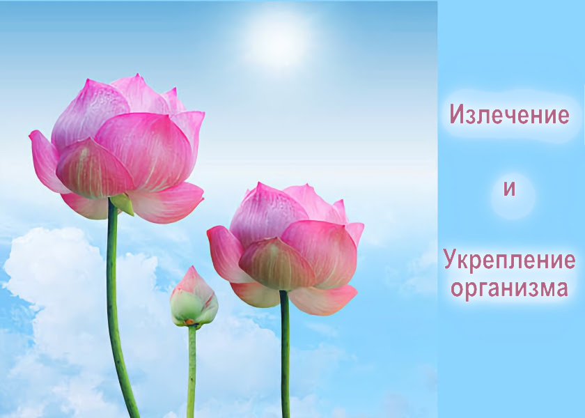 Image for article Моя мать избавилась от рака благодаря практике Фалунь Дафа