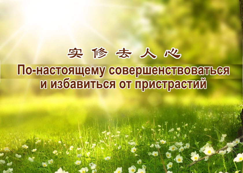 Image for article Смотреть в себя – ключ к преодолению испытаний