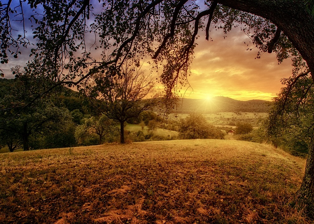 Image for article Путь самосовершенствования ученицы старших классов