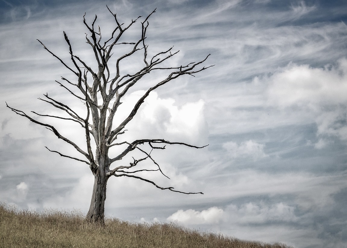 Image for article Запоздалая новость. Женщина из провинции Ляонин погибла в результате преследования Фалуньгун