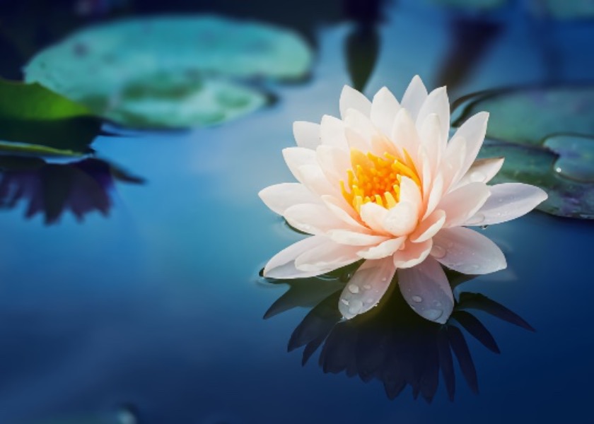 Image for article Избавиться от обиды и относиться к свекрови с добротой