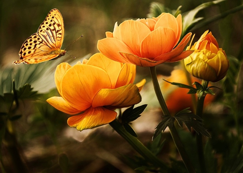 Image for article Муж помог мне избавиться от привязанности к чувствам