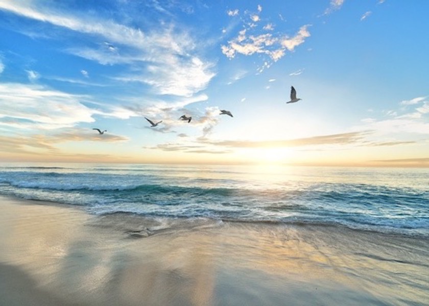 Image for article Наблюдение за практикующими Фалунь Дафа на парадах привело меня к совершенствованию