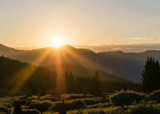 Image for article Ответственность за себя и других: мои размышления о болезнетворной карме