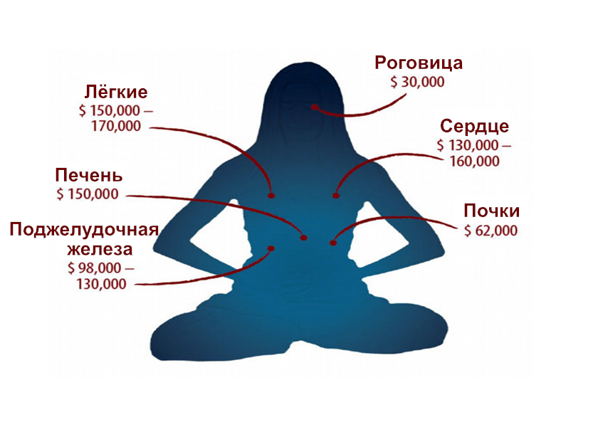 Image for article Двадцать лет после раскрытия фактов о насильственном извлечении органов. Какова ситуация сегодня?