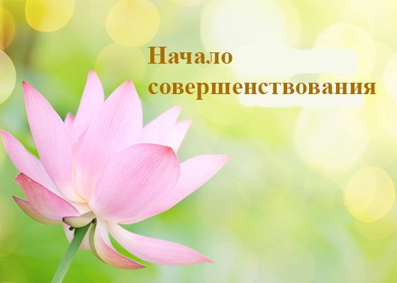 Image for article Десятилетний ученик Дафа. Устранение зависимости от электронных устройств