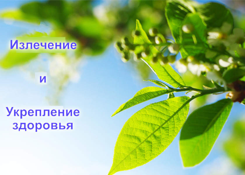 Image for article Практика Дафа вывела меня из замкнутого круга болезней